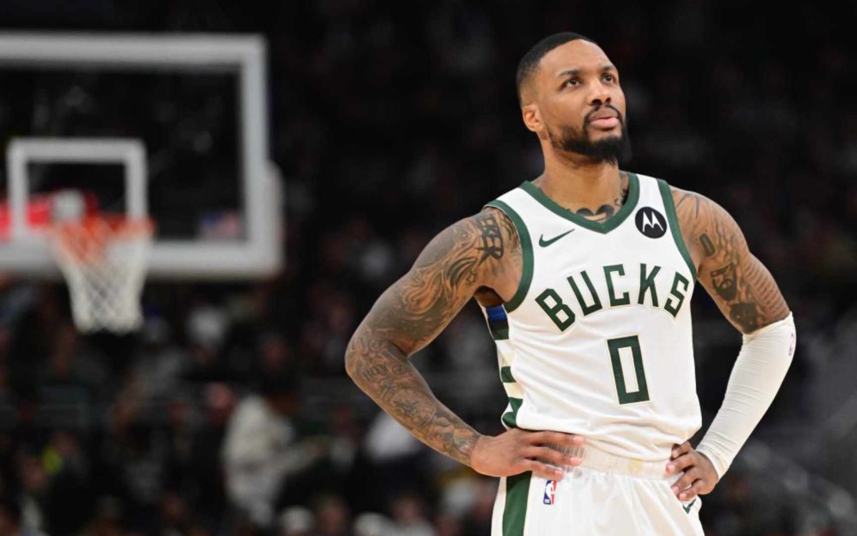 辅导和鼓励 辅导和鼓励